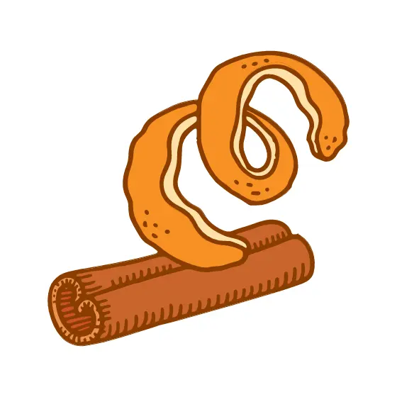 Orange Peel Spiral Resting On Cinnamon