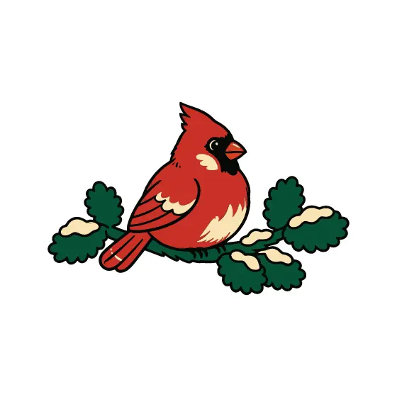 Red Cardinal on Snowy Pine