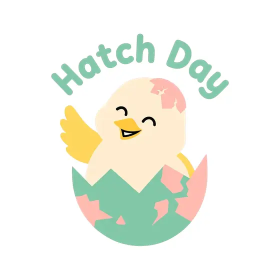 Cream Chick Hatching With Mint Lettering