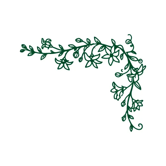 Green Stephanotis Vine Upward Curl