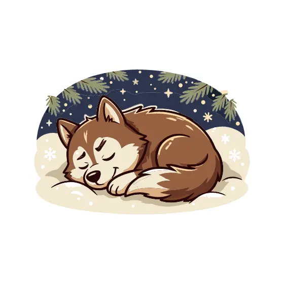 Sleeping Husky In Starry Snow