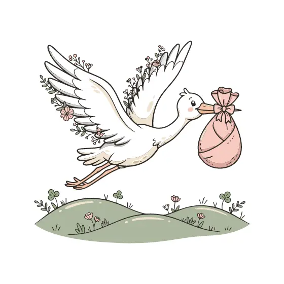 Stork Carrying Pink Bundle in Flight