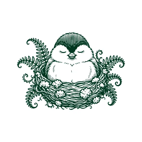 Sleeping Chickadee in Fern Nest