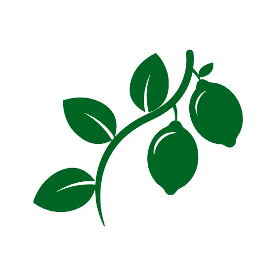 Lemon Sprig With Leaves