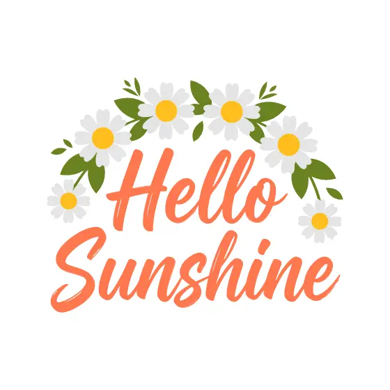 Hello Sunshine Coral Brush Script and Daisies