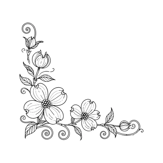 Dogwood Blossom Corner Border Scrolls